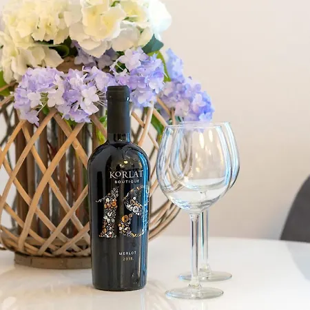 Capitis In The Centre Two Units- With A Private Pool & Balcony With Spectacular View-no Pool Appartement